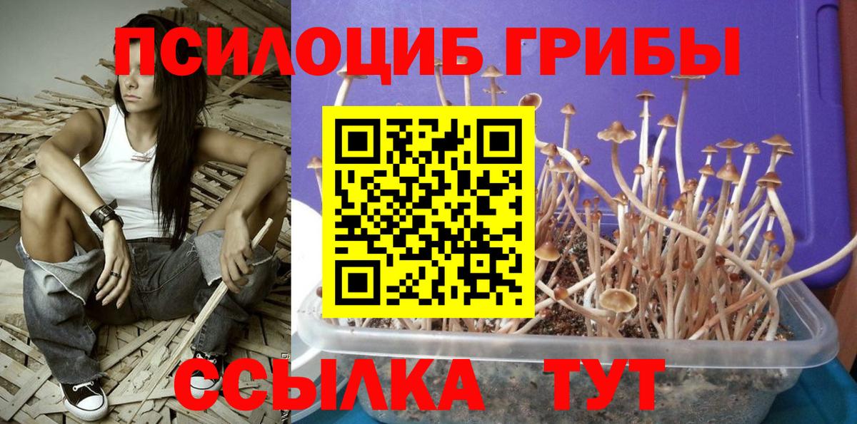 Галлюциногенные грибы ЛСД Искитим