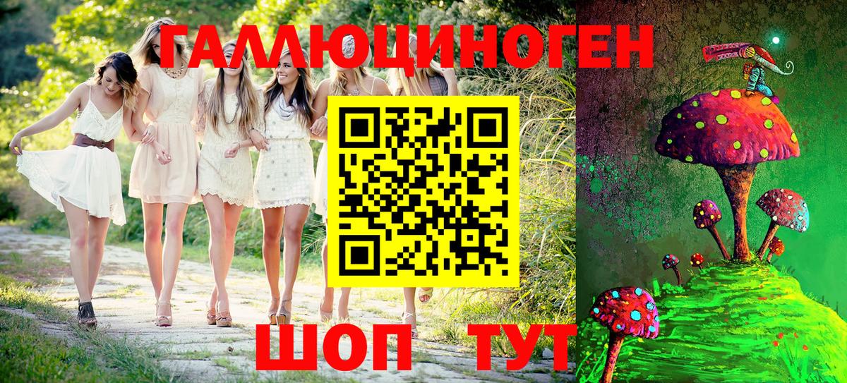 где продают наркотики  Вход с VPN  Искитим  Галлюциногенные грибы Psilocybine cubensis 